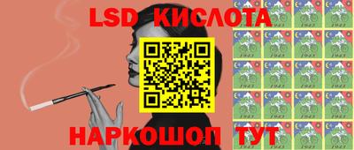 индика Можайск
