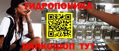 индика Можайск