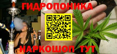 индика Можайск