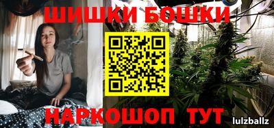 индика Можайск