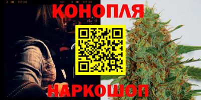 индика Можайск