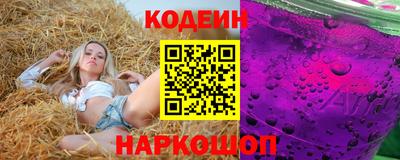 индика Можайск