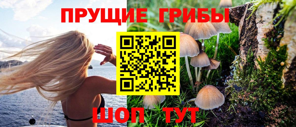 Галлюциногенные грибы GOLDEN TEACHER Шахты