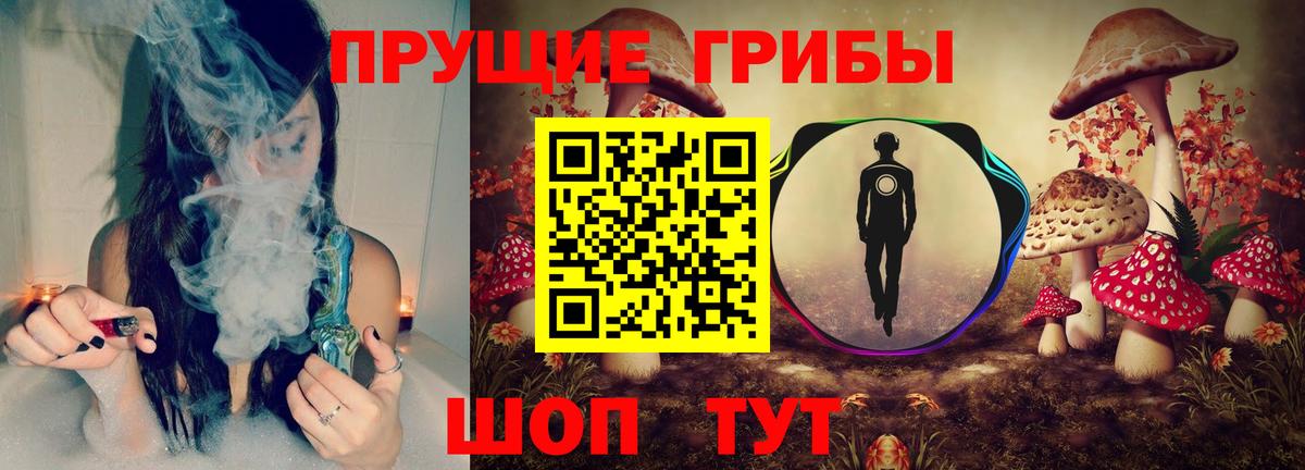Шахты  Галлюциногенные грибы Psilocybine cubensis  Вход с VPN  Галлюциногенные грибы Psilocybe 